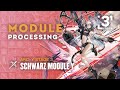 Schwarz Module Y Upgrade LV3 Showcase ft. Comparison w/ Mod X, Pozyomka