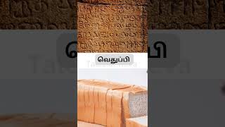 புழக்கத்தில் இல்லாத தமிழ் வார்த்தைகள் Part 6 #shorts