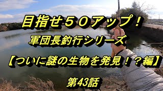 【バス釣り】「第43話　香川の野池で謎の生物を発見！？というお話」　《目指せ５０アップ！軍団長釣行シリーズ》