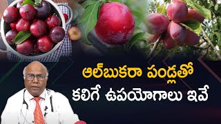 Health Benefits of Albakara Fruit | Dr CL Venkat Rao | Abhi Tv Digital