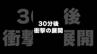 大雨警報の30分後に衝撃の展開が、、、【ソロキャンプ】