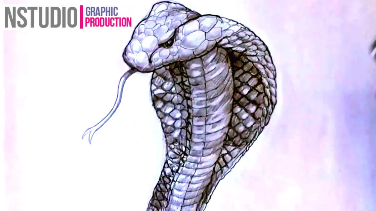 How To Draw A King Cobra Step By Step Drawing Tutorials