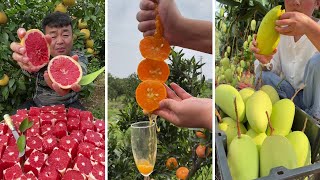 Farm Fresh Ninja Fruit Cutting | Oddly Satisfying Fruit Ninja #11