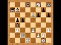 exploiting light square weaknesses karpov vs shirov biel 1992