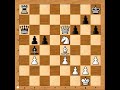 exploiting light square weaknesses karpov vs shirov biel 1992