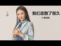 王馨 - 我们走散了很久 (DJ默涵版) (WE HAVE BEEN SEPARATED FOR A LONG TIME) [DJ MIX]