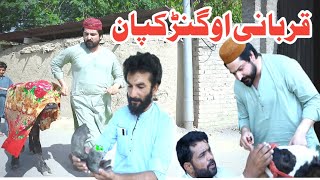 Qurbani Ao Gankapan Eid Special Funny Video By PK Plus Vines 2023#pkplusvines #pkvines