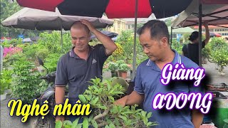 SH.7685. Bất ngờ gặp nghệ nhân *GIÀNG AĐÔNG ĐẦU TRỌC* Chợ Sơn Tây báo giá cây cảnh rất rẻ.