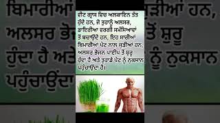 ਵੀਟ ਗਰਾਸ ਦਾ ਜੂਸ ਪੀਣ ਦੇ ਫਾਇਦੇ | punjabi quotes | health tips in punjabi | quotes in punjabi |