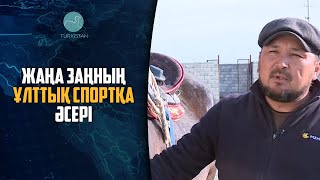 Жануарларға жауапкершілікпен қарау туралы заң қызу талқылануда