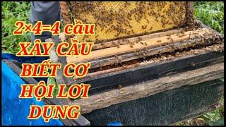 Xây cầu ở đàn chủ công