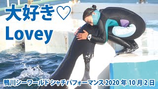 大好き♡Lovey【2020年10月2日15:00終了後　鴨川シーワールド　シャチパフォーマンス】Killer whale performance, Kamogawa Sea World, Jap