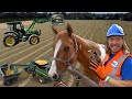 Farm Animals and Tractors for Kids with Handyman Hal