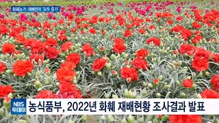 2022년 화훼 재배현황 조사결과 발표…농가·재배면적 증가