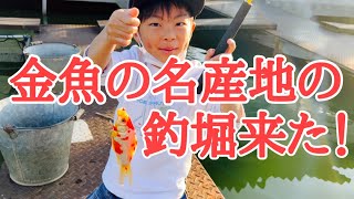 金魚の名産地の釣堀で釣りを楽しんできました！