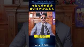 11 6 习太阳对胡锦涛政治事件最新表态 控制了胡的肉体和他的家人 逼迫出来表态支持习太阳