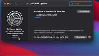 How to Unenroll a Mac from Developer & Public Beta of macOS Big Sur