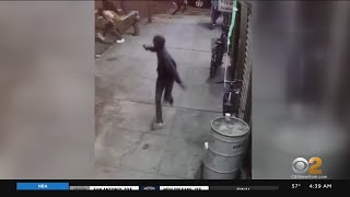 New video of deadly Bronx shooting
