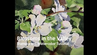 Transparent Watercolor Narrated Tutorial:  Blossoms in the Valley