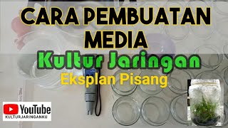 Tahapan Pembuatan Media Untuk Eksplan Pisang