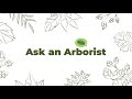 Learn@Home: Ask an Arborist