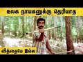 Sakalakala Vallavan Tamil Movie | Kamal fights goons in the forest | Kamal Haasan | Ambika
