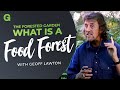 The Forested Garden: What is a Food Forest?