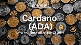 Cardano 的独特之处是什么？