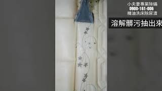 深層除蟎+精油洗床安康除狗尿