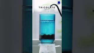 Brew it with Tricolate