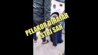 PELAKOR DIHAJAR ISTRI SAH ( @roadvisual7758 )