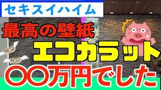 かかったお金は〇〇万円！？それでもエコカラットが良い理由とは！？