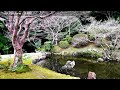 identify two traditional landscaping techniques japanese garden in yamaguchi