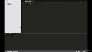 8 Removing whitespace using Pyton's strip methods
