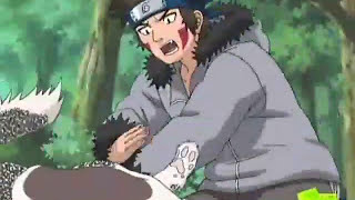 Shino's Bugs Attack Akamaru