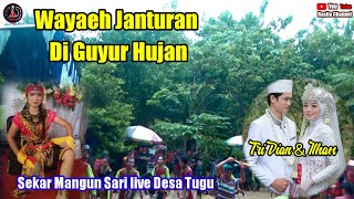 Janturan Di Guyur Hujan Sekar Mangun Sari live Desa Tugu @rasitochannel1855