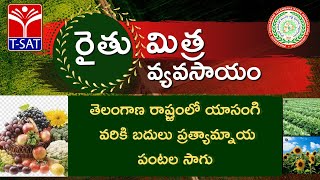 రైతుమిత్ర వ్యవసాయం ||  తెలంగాణ రాష్ట్రంలో  యాసంగి వరికి బదులు ప్రత్యామ్నాయ పంటల సాగు (PART-3)