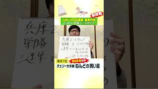 【2/20(木）兵庫ユースカップ　チェリー大作戦・ねんどの買い目！【次世代競馬芸人馬券対決！】#shorts