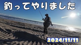 【サーフ釣り】2024/11/11 夕マヅメ　浜岡砂丘＃22９