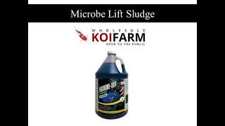 Microbe Lift Sludge