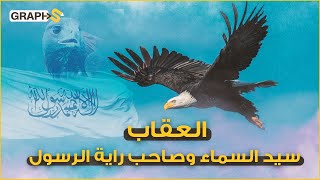 العقاب .. سيد السماء الذي أطلق اسمه على المسيرات الأوكرانية التي أنهكت الروس وعلى راية رسول الله