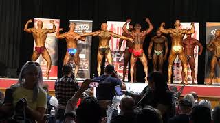 IBFA British Finals 2019 - Athletic Tall - Gavin Morris