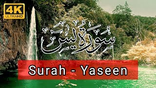 Surat ul Yaseen | Surah Yasin | Quran Surah Yaseen Recitation | Hafiz Arshad Ahmad Official