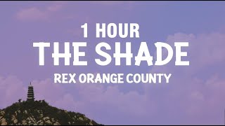 1 Hour Rex Orange County - The Shade Lyrics