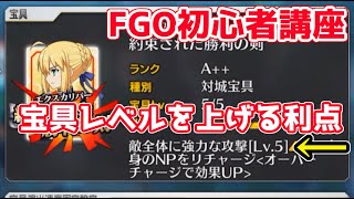 【FGO初心者講座2020】宝具レベルと上げる利点は何？【宝具レベル】