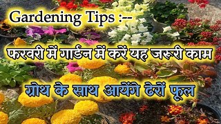 Gardening Tips : फरवरी में गार्डन में करें ये काम  l ग्रोथ के साथ आयेंगे ढेरों फूल 🌺