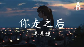 你走之後 - 蘇星婕『為我照亮落日親吻雲朵 可如今卻燃盡我的所有』【高音質/動態歌詞/Pinyin Lyrics】