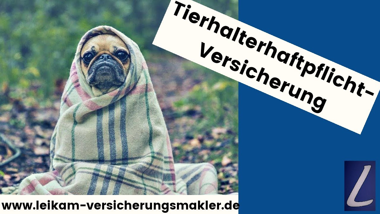 Tierhalterhaftpflichtversicherung | Tiere Richtig Versichern | Das ...