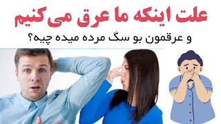 علت اینکه ما اینقدر عرق می‌کنیم و عرقمون بو سگ مرده میده چیه؟🤷🥴 #عرق