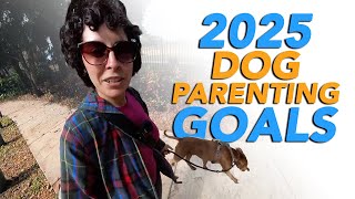 3 Game-Changing Goals to Strengthen Your Bond with Your Dog in 2025